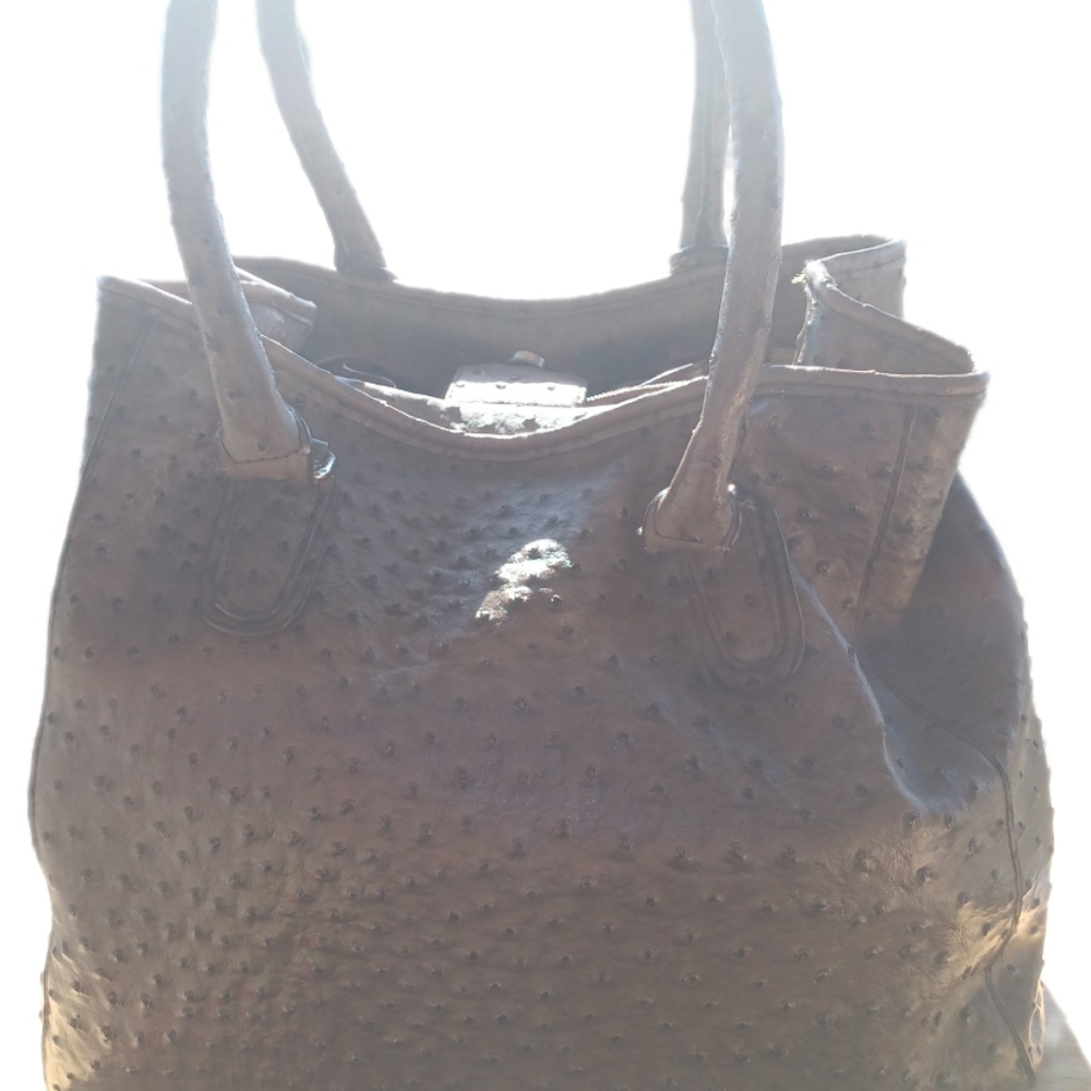 Brown bump y of ostrich purse